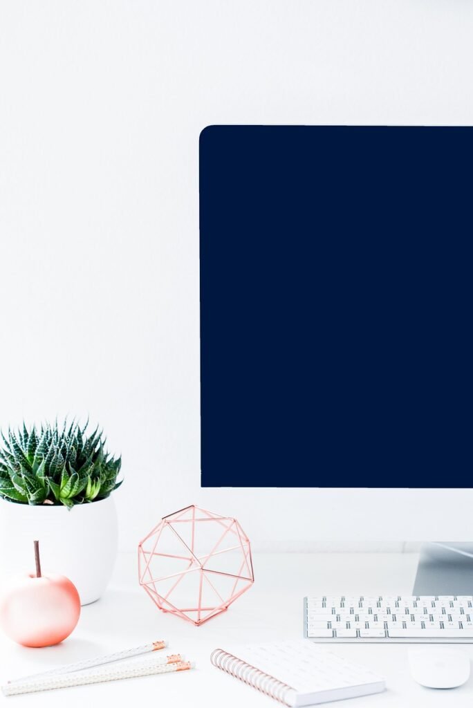 Consultoría SAP BASIS Madrid